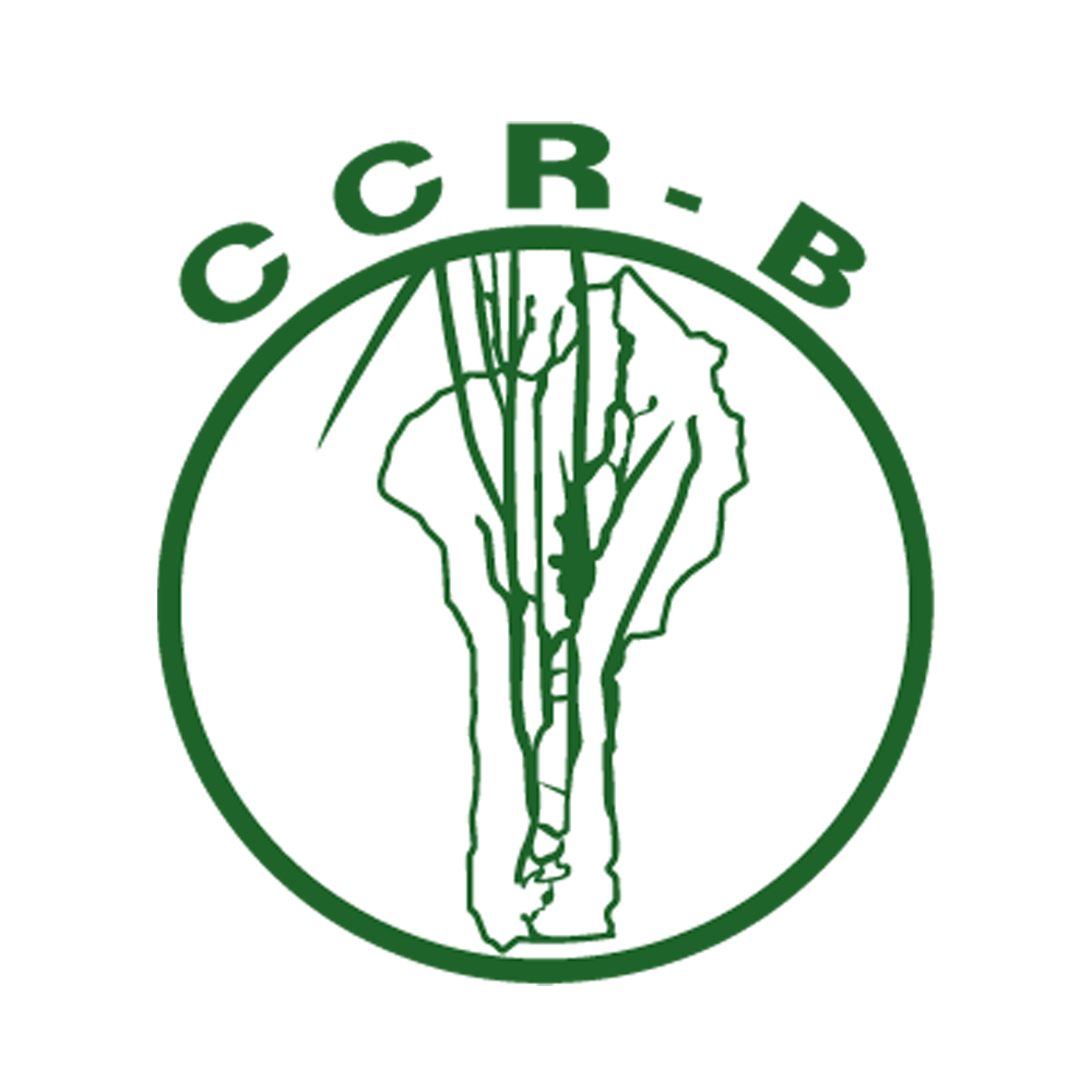 Logo CCR-B